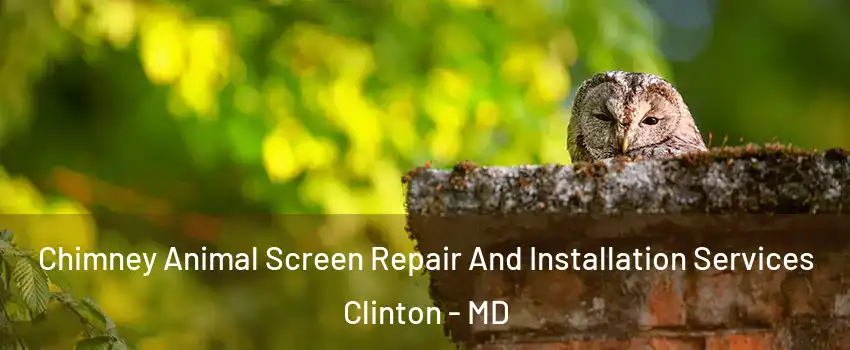  Chimney Animal Screen Repair And Installation Services Clinton - MD