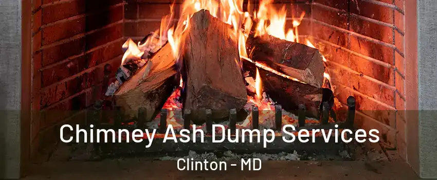  Chimney Ash Dump Services Clinton - MD