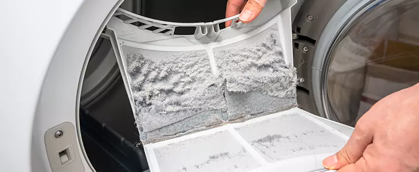 Best Dryer Lint Removal Company in Clinton, Maryland