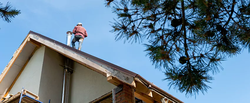 Birds Removal Contractors from Chimney in Clinton, MD