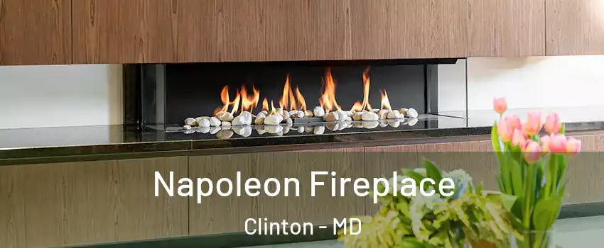  Napoleon Fireplace Clinton - MD