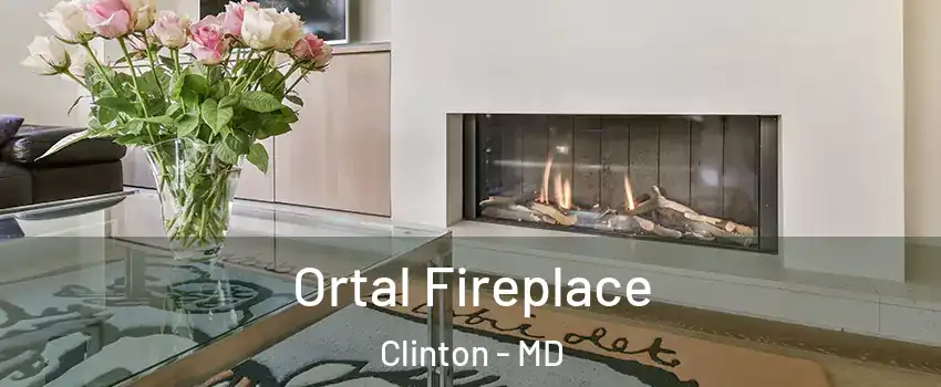  Ortal Fireplace Clinton - MD